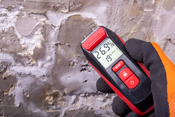 Best Mold Remediation Services  in Poteau, OK