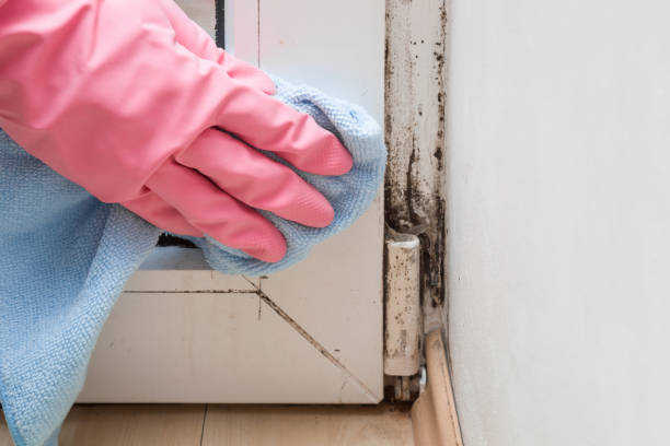 Best Water Damage Restoration  in Poteau, OK